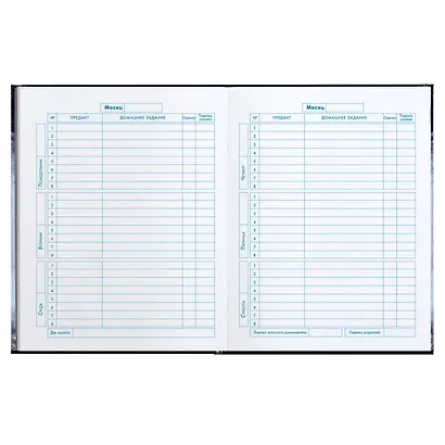 Дневник для младших классов Феникс+, "Кот" - фото 7