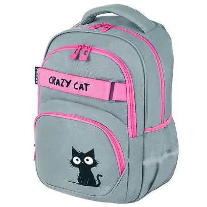 Рюкзак школьный для девочек "Crazy cat" 41*28*17см, 2 отделения, 3 кармана, с карманом для ноутбука, Brauberg - фото 11