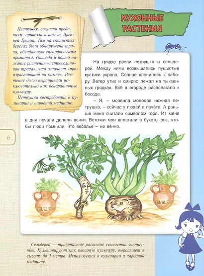 Зеленая аптека - фото 5