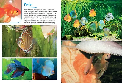 Моя большая книга о животных - фото 9