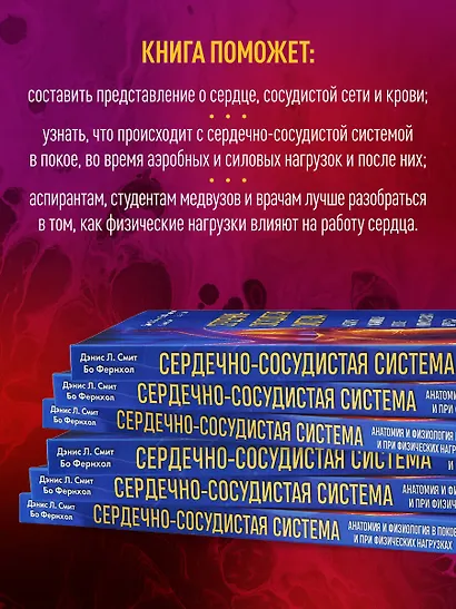 Сердечно-сосудистая система. Анатомия и физиология в покое и при физических нагрузках - фото 6