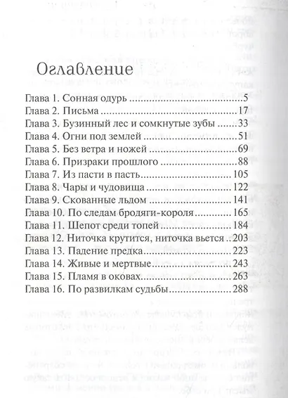 Похититель драконов - фото 2