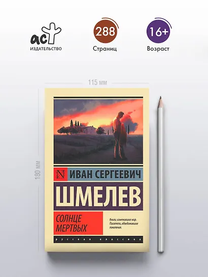 Солнце мертвых - фото 4