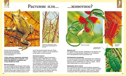 Детская энциклопедия. 250 чудес света - фото 5