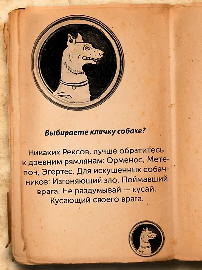 Когти грифона и летающие змеи: Древние мифы, исторические диковинки и научные курьезы - фото 5