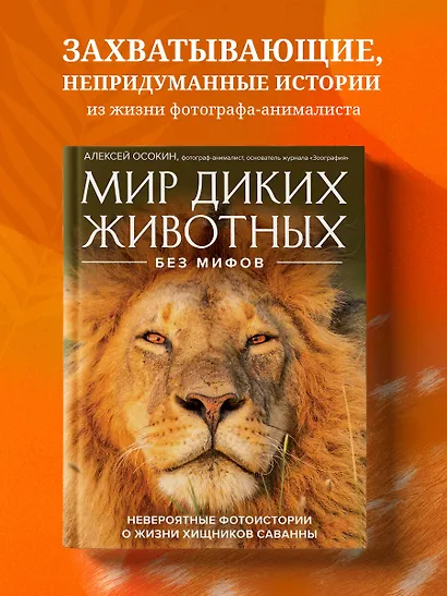Мир диких животных без мифов. Невероятные фотоистории о жизни хищников саванны - фото 4