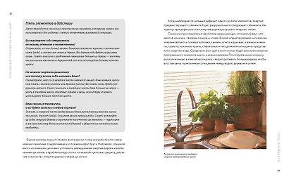 Библия фэн-шуй. Полное практическое руководство по улучшению жизни и здоровья, наведению порядка в доме и личных финансах - фото 5