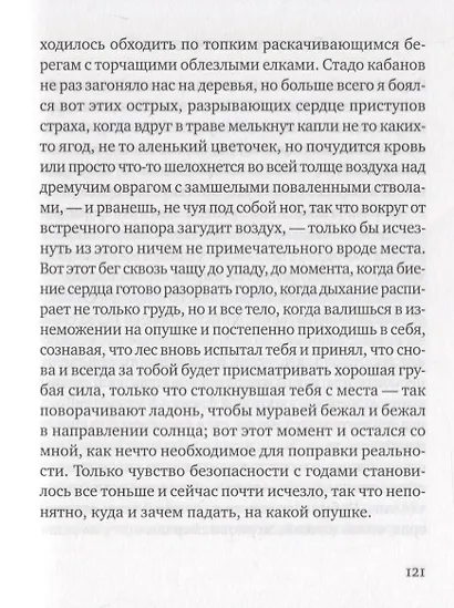 Воображение мира: эссе - фото 8