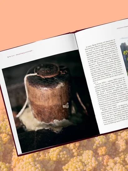 Атлас русского вина. От Крыма до Волги: путеводитель по российским винам - фото 8