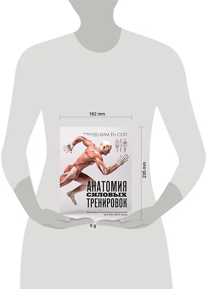 Анатомия силовых тренировок - фото 11