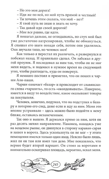 Из Багдада в Стамбул. Том второй - фото 4
