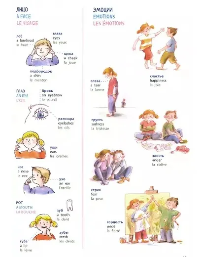 Словарь в картинках. Добро пожаловать в Кукуево! Русский. Английский. Французский - фото 3