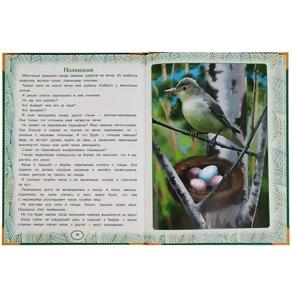 Сказки леса - фото 3