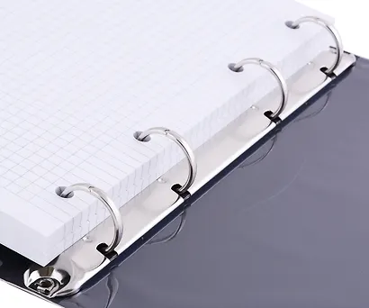 Тетрадь на кольцах в клетку InFolio, "Beauty. Листья", 120 листов - фото 3