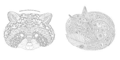 В царстве животных. Книга для творчества и вдохновения - фото 5