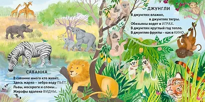 Кто где живет. Загадки-рифмы - фото 3