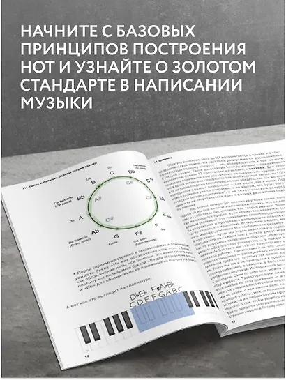 Ум, голос и пальцы. Основы теории музыки - фото 5