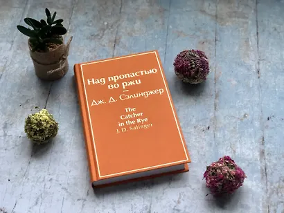 Над пропастью во ржи - фото 7