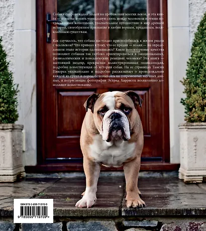 Собаки. Иллюстрированная энциклопедия - фото 2