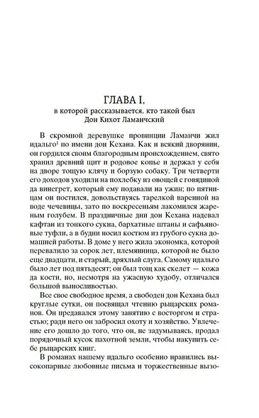 Дон Кихот - фото 8