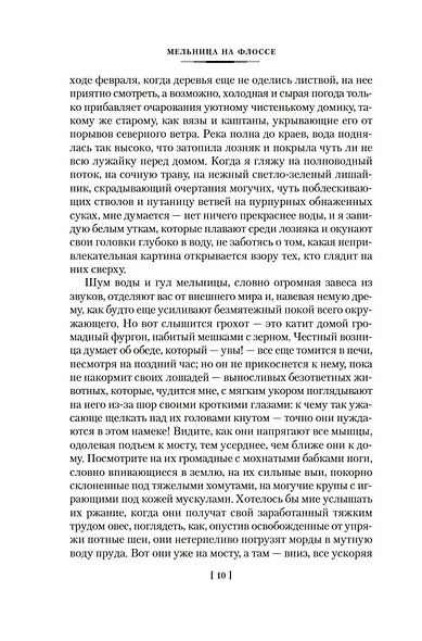 Мельница на Флоссе - фото 11