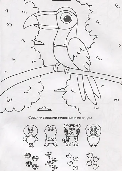 IQ Раскраска. Слоненок - фото 5