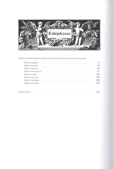 Годы учения Вильгельма Мейстера, т.5 - фото 2
