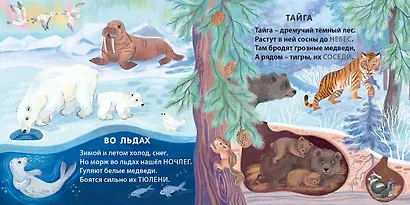 Кто где живет. Загадки-рифмы - фото 2