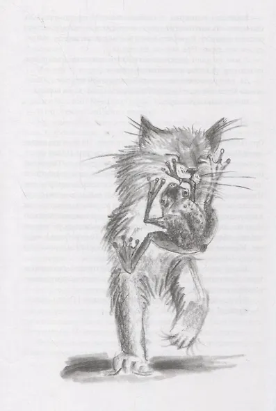 МРНЫ (почти правдивая история) - фото 4