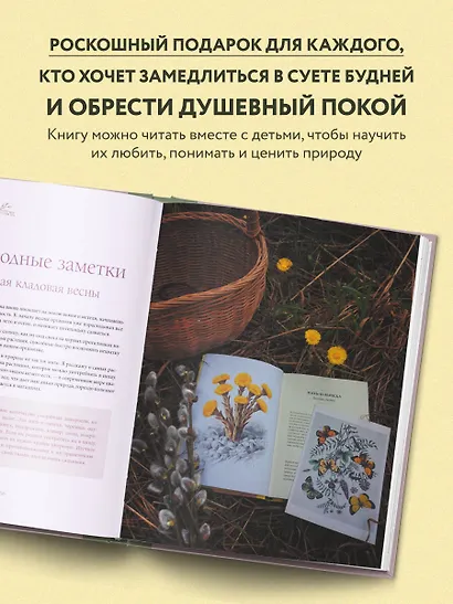 Женственна от природы. Книга гармонии в душе и в доме. Стильный декор, вкусная еда и много лесной красоты - фото 6