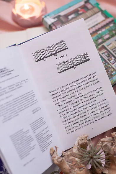 Вечера в книжном Морисаки - фото 11