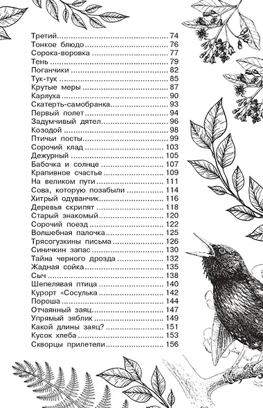 Бюро лесных услуг - фото 10