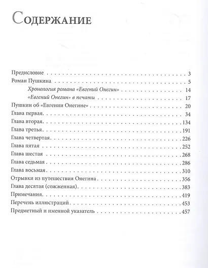 Роман А. С. Пушкина «Евгений Онегин» - фото 2
