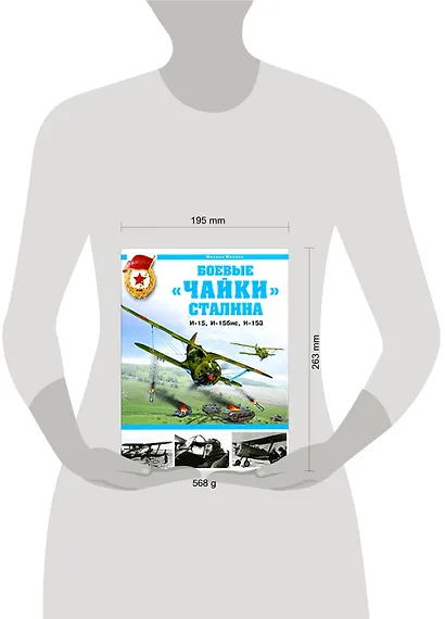 Боевые "чайки" Сталина. И-15, И-15бис, И-153 - фото 2