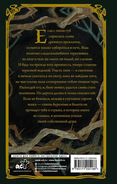 Терновая ведьма. Изольда - фото 2