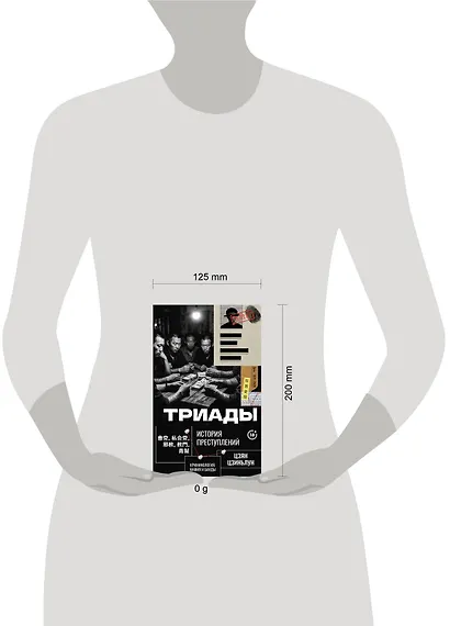 Триады. История преступлений - фото 4