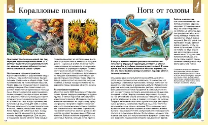 Детская энциклопедия. 250 чудес света - фото 6