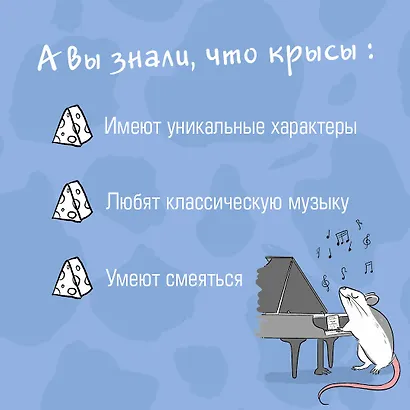 Чего окрысилась?! Как понимать своего питомца - фото 6