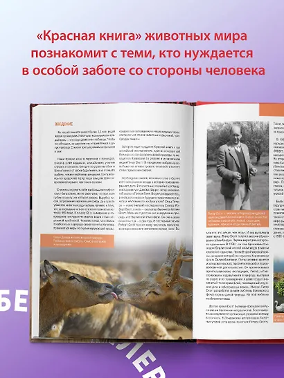 Красная книга. Животные мира - фото 7