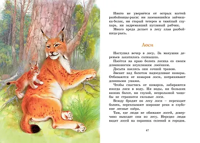 Год в лесу. Рассказы о природе - фото 12