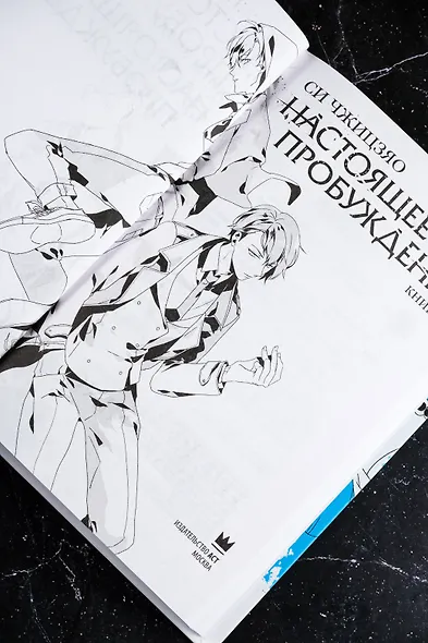 Настоящее пробуждение. Real Awakening. Книга 1 - фото 11