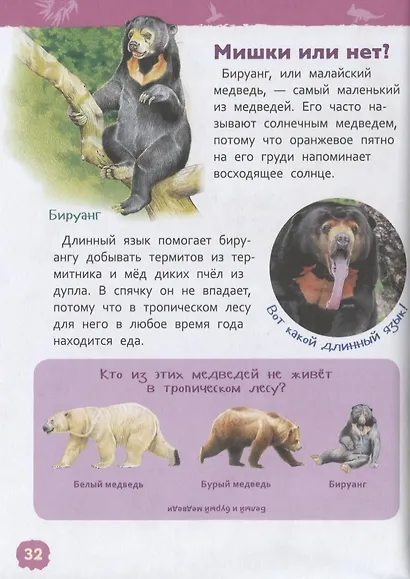 Джунгли - фото 5