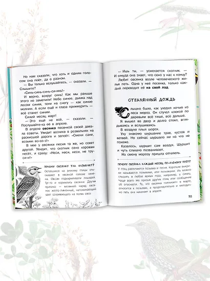 Бюро лесных услуг - фото 6