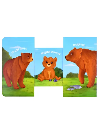 Книжки - задвижки. Мама, папа и малыш. Дикие животные - фото 3