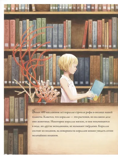 Коралловые рифы - фото 2