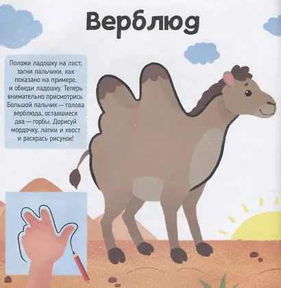 В зоопарке. Книжка-раскраска для детей - фото 3