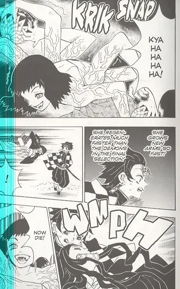 Demon Slayer: Kimetsu no Yaiba, Vol. 3 - фото 5