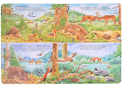 Мир животных. Виммельбух - фото 2