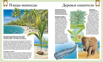 Детская энциклопедия. 250 чудес света - фото 3