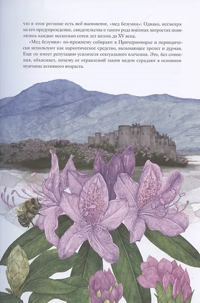 Вокруг света за 80 растений - фото 9